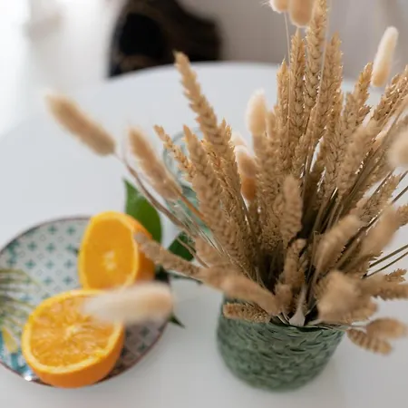 아파트 D'olivo - Luxury *